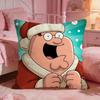 Family GGuys Funny Anime Cushion Cover Premium Comfort Reversible Pillow Cove Two In One Design For Any Room  Car Interior