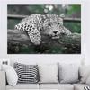 Плакаты и принты с Картинами На Холсте С Животными, Зеленые Глаза, Черно-белое, Гостиная, Дом, Дикая Жизнь, Настенное Искусство