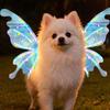 Electric Fairy Wing for Dogs Cats Light Up Moving Butterfly Wings with LED Lights And Music Pet Glowing Wings Costume for Medium Large Dogs