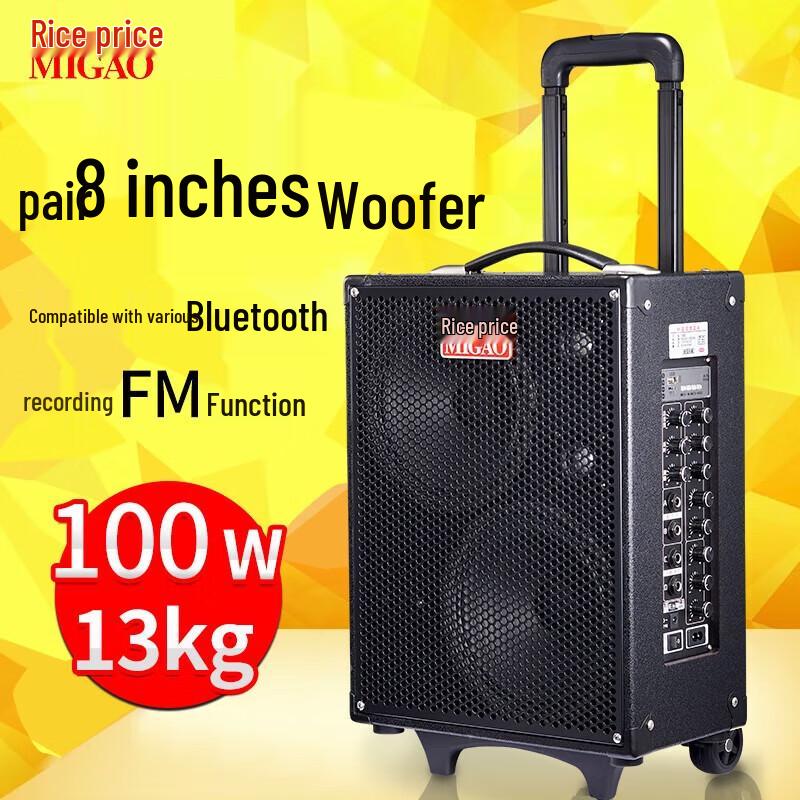 Meego MG882A Portable Acoustic Guitar Amplifier CN plug (adapter included)