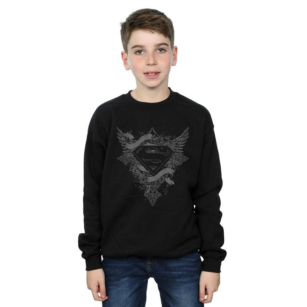 DC Comics Boys Superman Wings Logo Sweatshirt