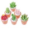 5Pcs Micro-Landscape Resin Cactus Horticultural Bonsai Diy Small Ornaments Toy