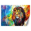 Wallpaper Lion Animals Abstraction