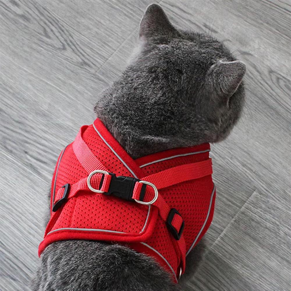 Oem Adjustable Anti-escape Vest Harness Breathable Puppy Leads Kitten Pet Accessory For Outdoor Camping Comfortable Collar Leash