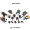 Large Rhinoceros, Stag, and Hercules Beetle Models for Children's Early Education