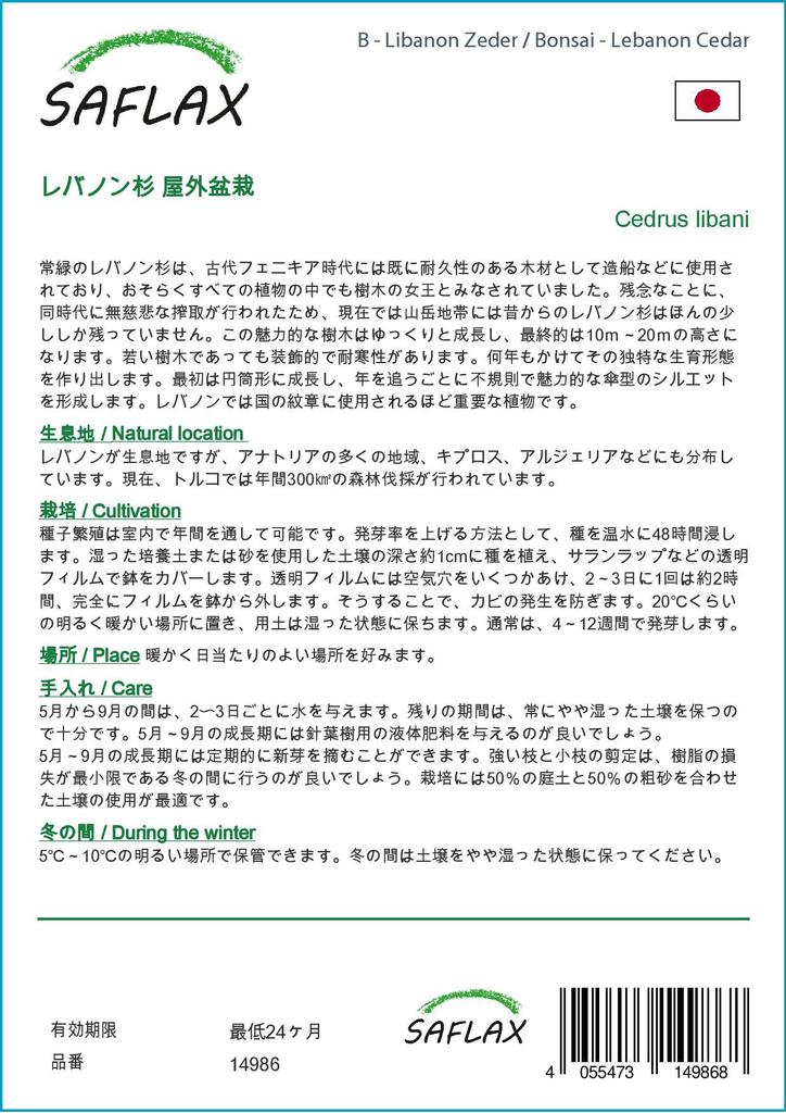 SAFLAX Garden in the Bag - Бонсай - Ливанский кедр - 20 семян - С субстратом в подходящем пакете - Cedrus libani