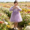 Girls' mesh dress, summer new princess dress, children's gauze dress, sweet fluffy dress, girls' dress