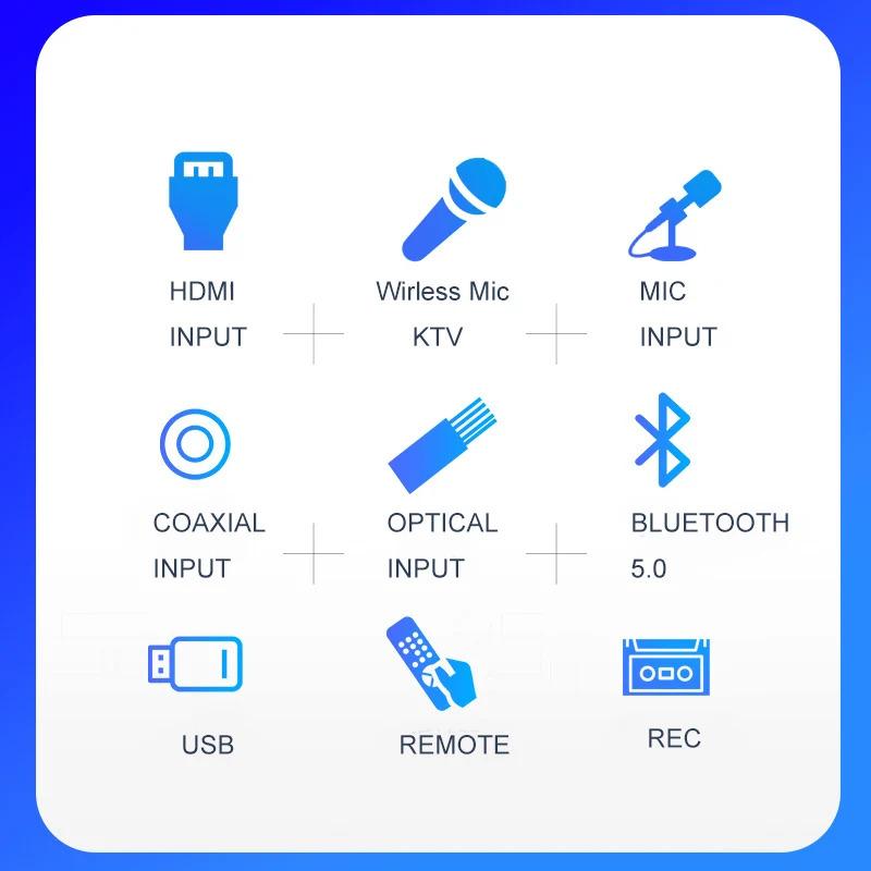 Dual Microphone Karaoke Machine Bluetooth 5.0 Sound Power Amplifier Integrated Amp & U-Disk Player Home Audio Subwoofer System
