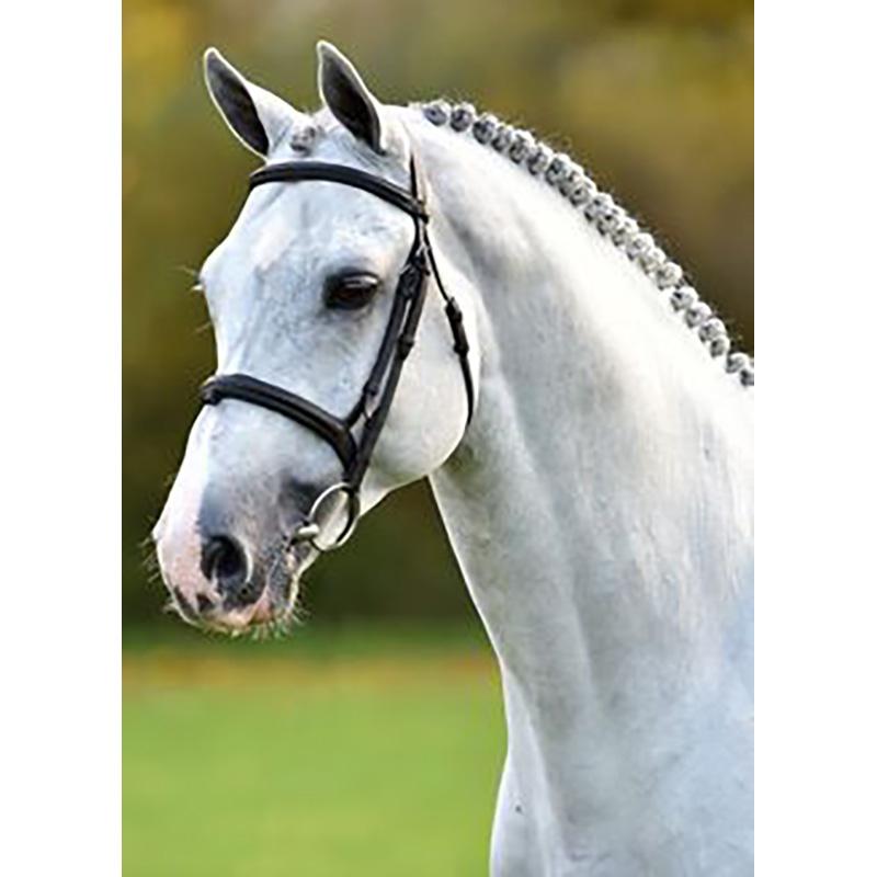 DIY лошадь 5D алмазная живопись полная круглая дрель животное Алмазная вышивка крестиком мозаика настенное искусство стразы домашний декор