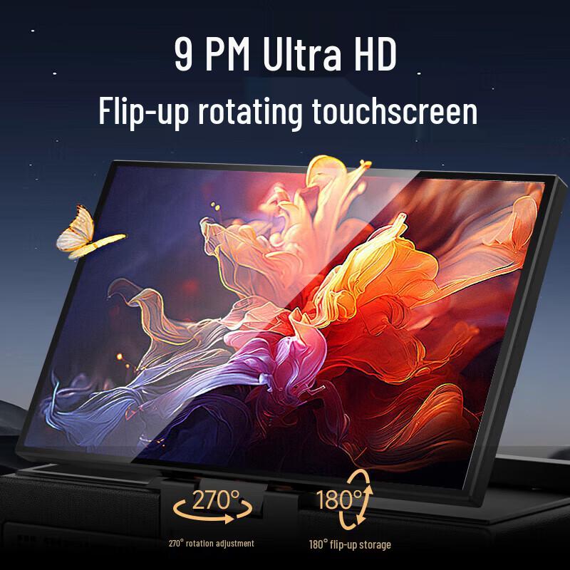 Shanshui Portable Outdoor KTV Speaker System