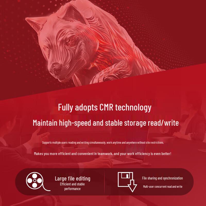 Seagate IronWolf 6TB NAS Hard Drive