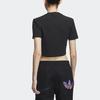 Adidas Originals Hot Girl Collection Home Of Classics Collection Crop Top Women's Black (Unisex) Crop Tops IP1788
