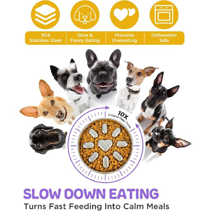 Slow Feeder Dog Bowls with Non-Slip Mat, Stainless Steel Metal Slow Feeder for Small & Medium Dogs, 2 Cups Pet Bowl for Fast Eaters, Slows Down