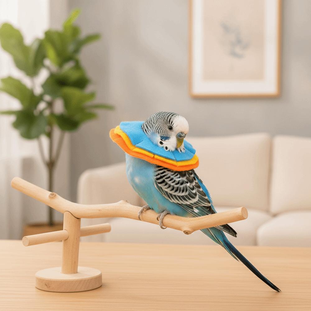 Comfortable Parrot Elizabethan Collar Anti-Bite Parrot Recovery Cone for Small Cats
