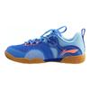 Li Ning Smoothly Glide Устойчивые к истиранию Низкие тренировочные кроссовки Мужские Синие APTR007-1