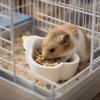 Bird Shaped Hamster Food Bowl Large Capacity Bird Cage Feeder Parrot Water Bowl  Small Animals