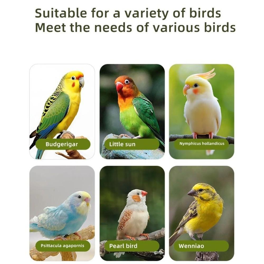 Transparent Hanging Bird Bath Open Platform Hummingbird Feeder Umbrella Bird Feeder  Farm