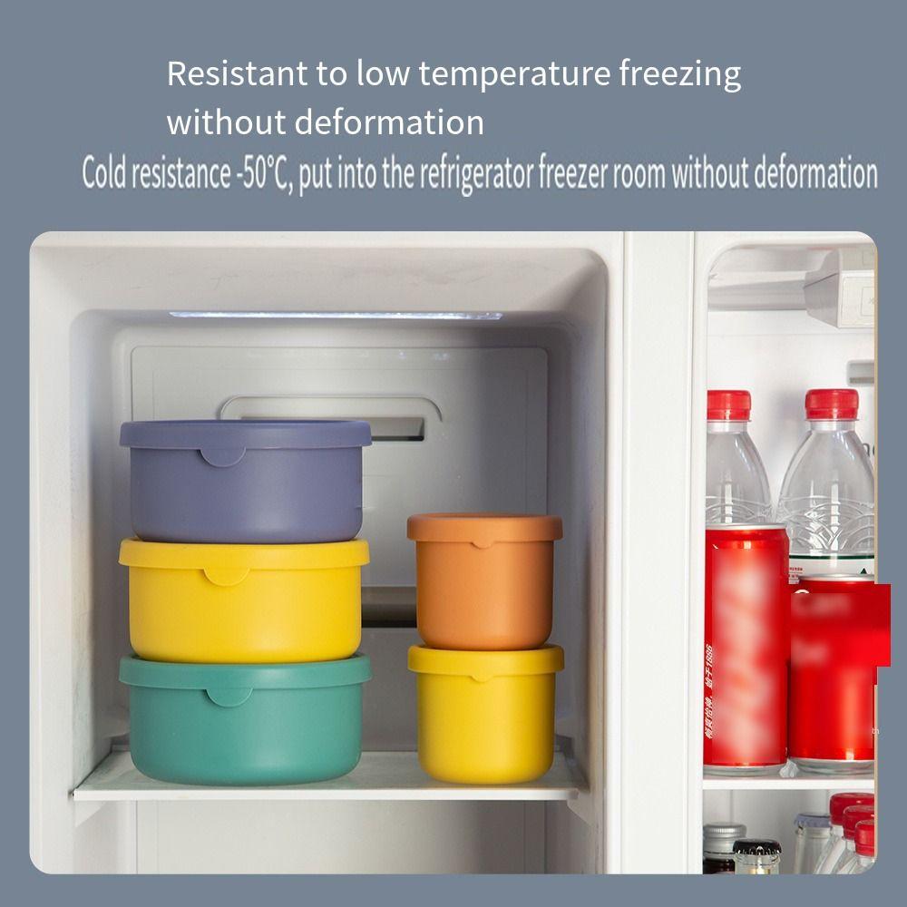 Reusable Lunch Boxes Airtight Freezer Molds Eco-friendly Food Storage Container  Home