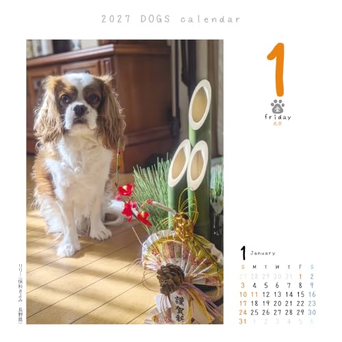 Dog Flipping 2027 Calendar Refill Daily Flipping CK-D27-02
