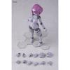 Polynian Robot New Humanity FLL Ianna Gray Fresh Non-Scale PVC & ABS Painted Movable Figure Resale