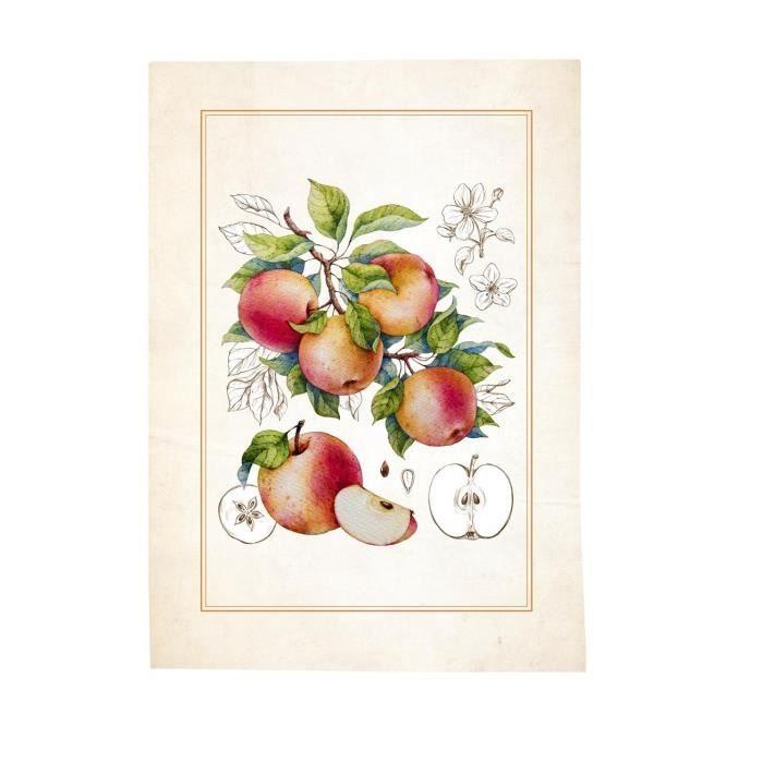 Торшоны — Фрукты — 50x70 см — 100 % хлопок — Можно стирать до 40° — Лот из 3 шт.