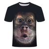 New Diamond Ape Men's Digital 3D Printed Men's Summer Round Neck Short Sleeved T-shirt