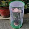 Butterfly Habitat Mini Greenhouse for Indoor Outdoor Observation Sturdy Reusable Cylinder Shape Cage with Visible Mesh