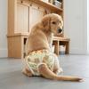 Cartoon Print Washable Dog Diapers Breathable Dog Sanitary Pants  Dogs in Heat
