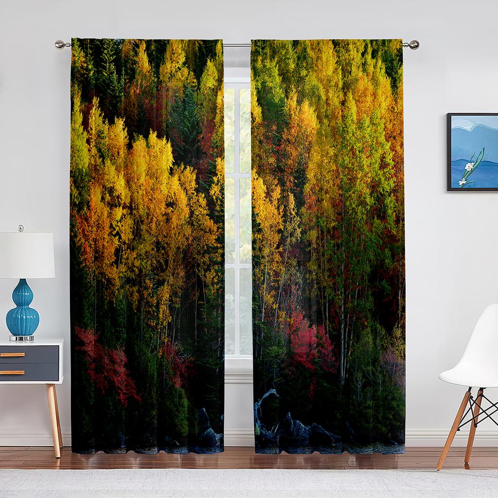 Fall Forest Tulle Curtains for Living Room Bedroom Decoration Autumn Trees Woodland Sunshine Nature Scenery Sheer Voile Curtain