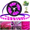 Grow LED Strip DC 5V LED Grow Light Grow 0.5-3m Plant Light Flower USB for Vegetable Full Spectrum Tent Box Phyto Lamp Seedling