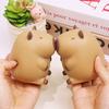 TPR Capybara Squeeze Toy Коричневые декомпрессионные игрушки Подарочные сжимаемые игрушки для взрослых