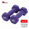 Shuangyu Frosted Dipped Dumbbells & Rack