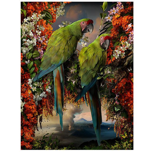 Colorful Beautiful Parrot Bird Graffiti Art Canvas Painting Wall Picture Animals Posters and Prints Living Room Home Decoration No Frame