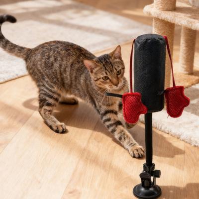 Боксерская игрушка для кошек Боксерская груша для кошек с пружинным покачиванием Интерактивная боксерская игрушка
