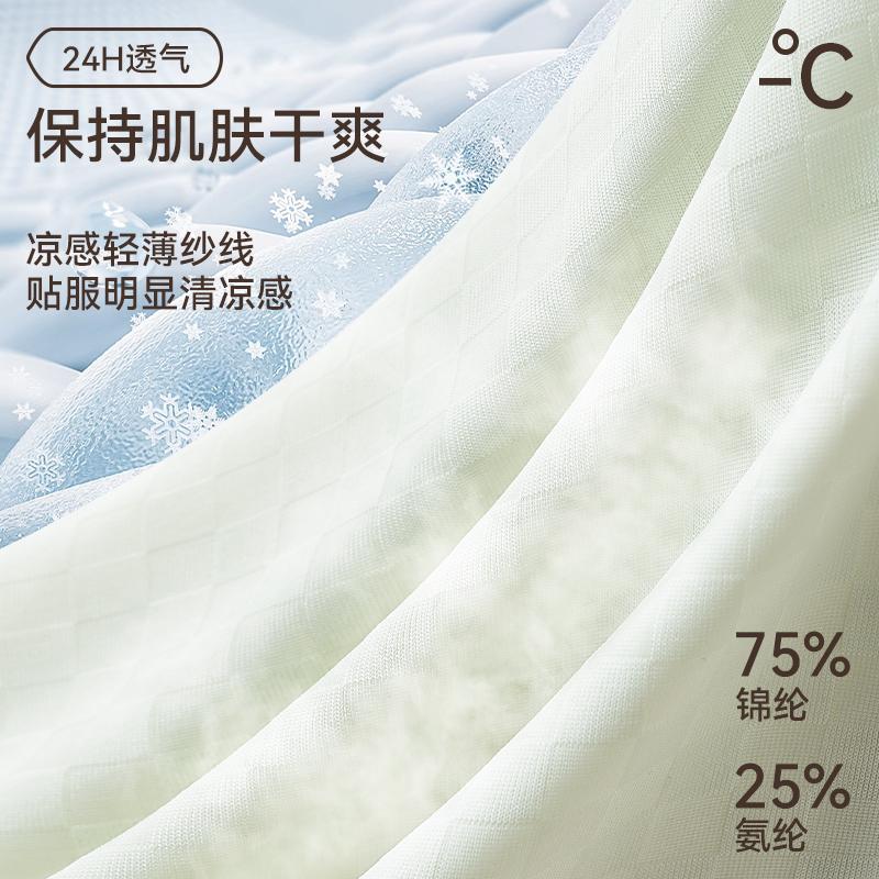 Boys' Ice Silk Underwear