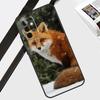 Милый Лис Осенью Чехол Для Samsung Galaxy A55 A35 A15 A56 A36 A26 A16 A06 A54 A34 A14 A12 A22 A32 A52 A13 A53