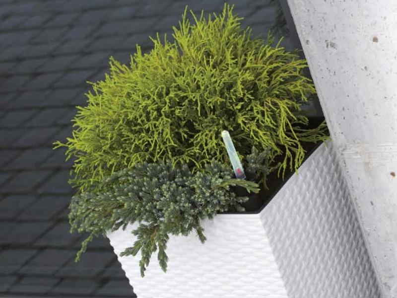 RATO DRTS325L Low Flowerpot with Insert | White