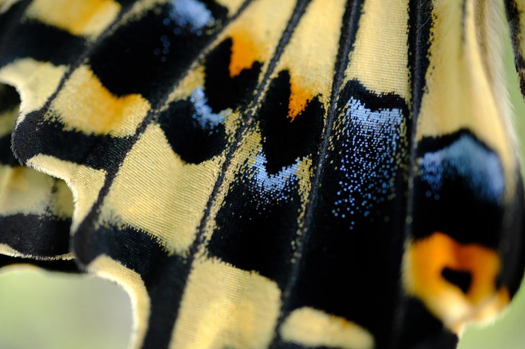 Fujifilm Fujinon XF30mm F2.8 R LM WR Macro