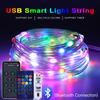 Programmable 5V USB LED Fairy String Light RGBIC WS2811 Smart Bluetooth APP Control DIY Curtain Garden Christmas Lights Decorati