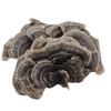 Органический чай из гриба Рейши (Turkey Tail) Травяной чай Натуральная поддержка энергии 500 г