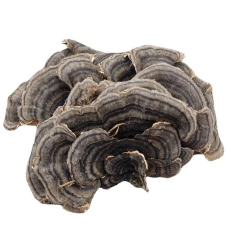 Органический чай из гриба Рейши (Turkey Tail) Травяной чай Натуральная поддержка энергии 500 г