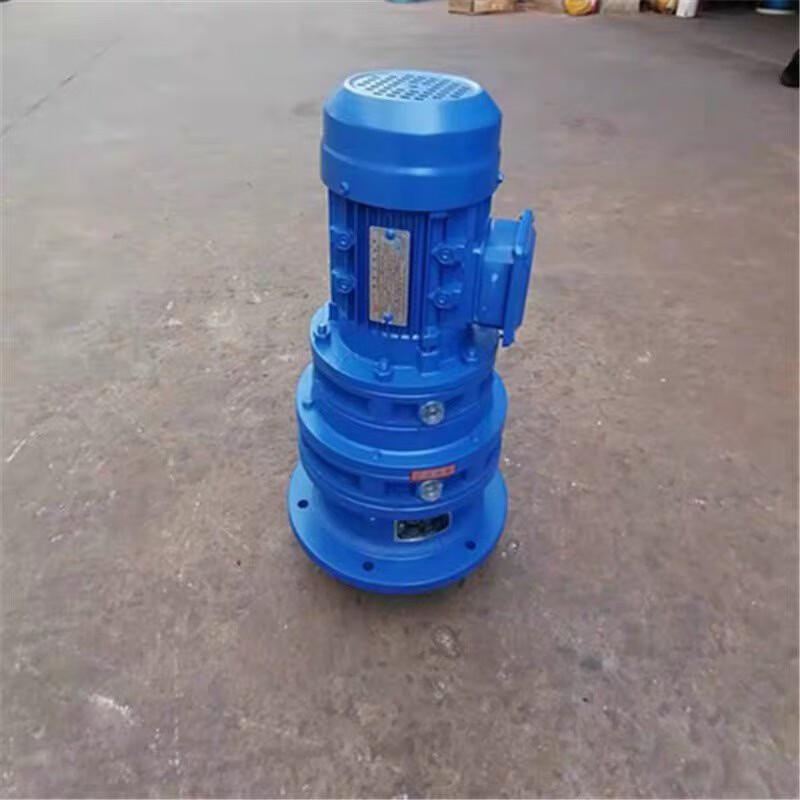 Jingrong Vertical Cycloidal Pinwheel Reducer