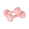 Bituminous Dumbbells 2X1.5Kg Dumbbell Set For Rebel Exercises