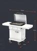 Smart Temp Control Cast Iron Gas BBQ Griddle for Hotels & Villas