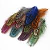 50Pcs 4-8cm Rare Precious DIY Wedding Party Decorative Multi-colour Pheasant Plume Feather Natural Feathers for Home Decoration