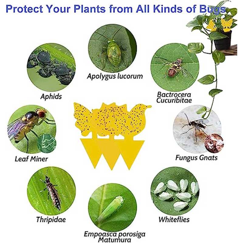 50 шт./компл., ловушка для насекомых, ловушка для мух, ловушка для мошек в помещении, клейкая наклейка-ловушка, двусторонняя водонепроницаемая желтая наклейка, защита растений, фрукты и фрукты