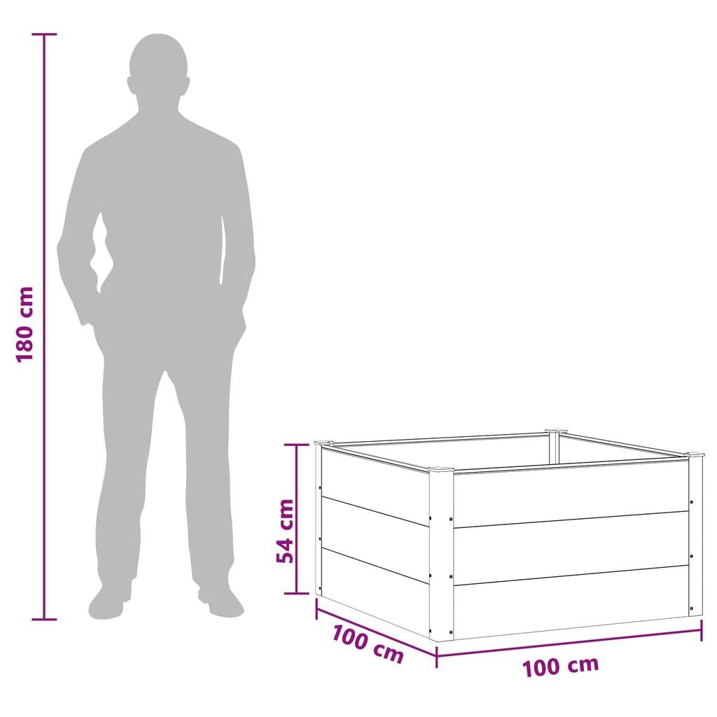 Raised Garden Bed Black 100 x 100 x 54 cm