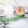 1Pc Big Ball DIY Epoxy Mould Desktop Table Light Planet Dried Flower Specimen Abrasives Night Light Creative Silicone Mirror
