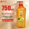 Bee & Flower Wheat Protein Conditioner & Ginger Shampoo Set