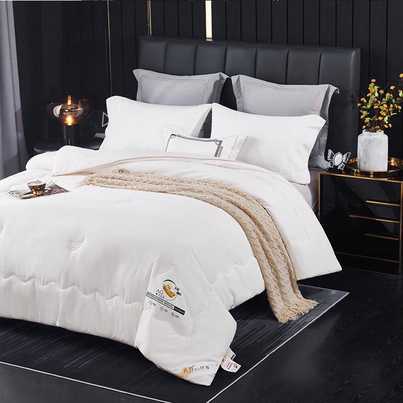 Premium Soy Fiber Antibacterial All-Season Quilt